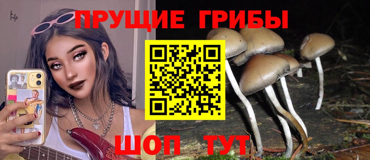 Азнакаево  Псилоцибиновые грибы Cubensis  Псилоцибиновые грибы MAGIC MUSHROOMS  Вход с VPN 