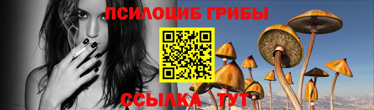 Галлюциногенные грибы мицелий Азнакаево